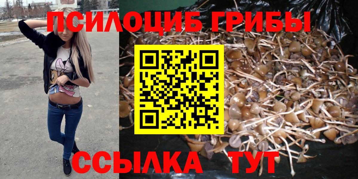Медногорск  закладка  Вход с VPN  Галлюциногенные грибы прущие грибы  Галлюциногенные грибы прущие грибы 